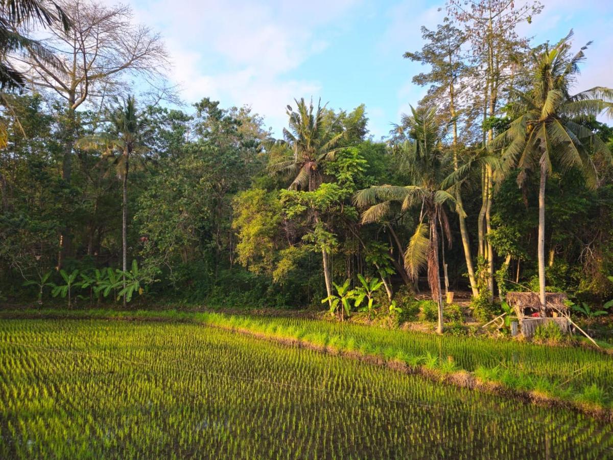 Pondok Diana Yuki Jasri Exteriér fotografie